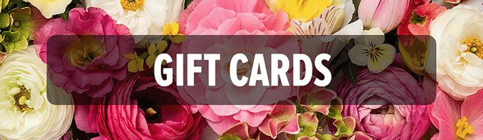 Gift Cards Banner