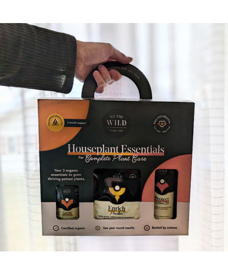 Houseplant Essentials