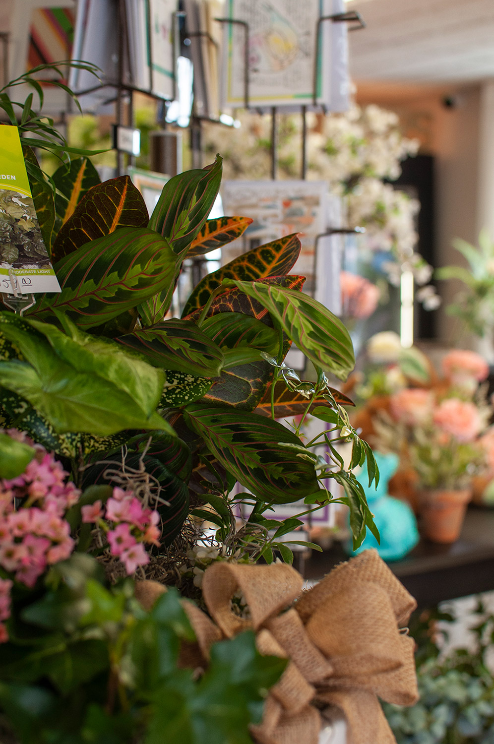 Flowers Around the Shop