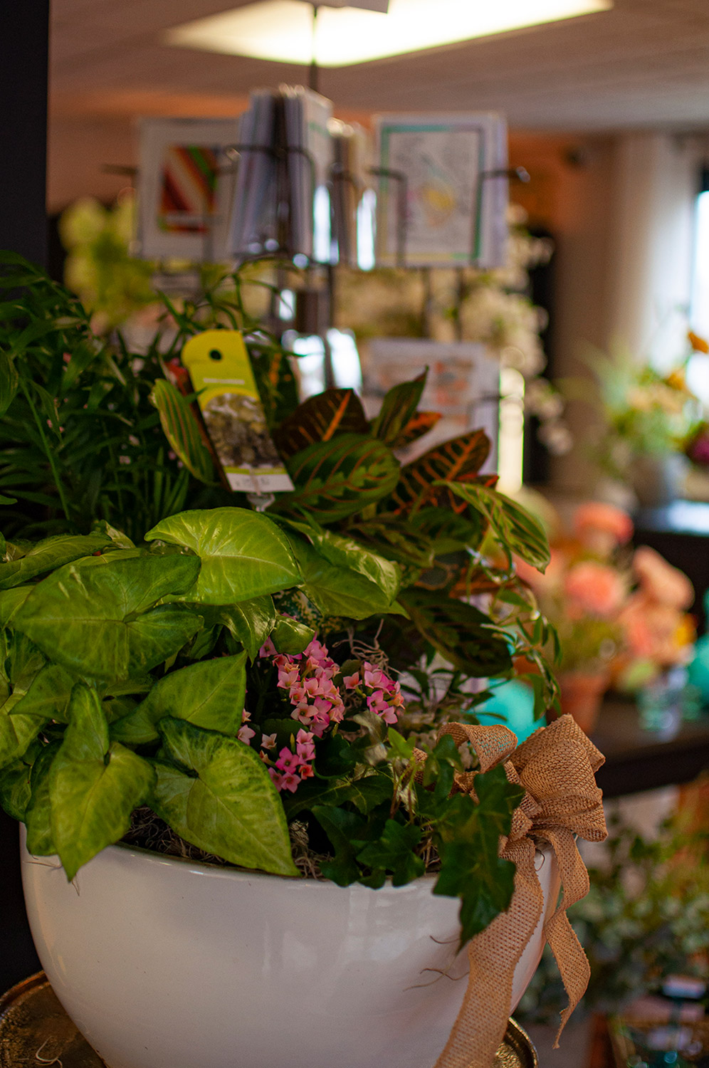 Flowers Around the Shop